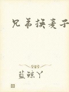 兄弟换麦子4