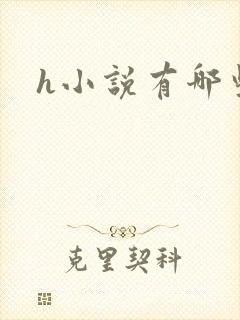 h小说有哪些