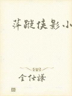 萍踪侠影小说