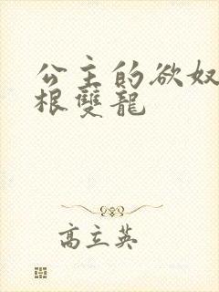 公主的欲奴h四根双龙