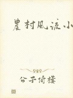 农村风流小说封面