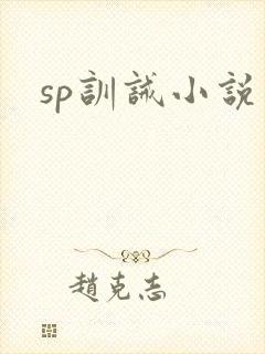 sp训诫小说封面