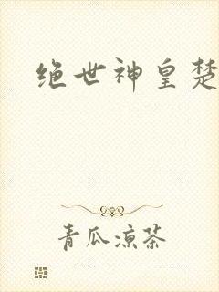 绝世神皇楚风封面