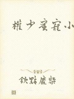 权少蜜宠小娇妻