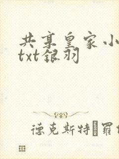 共享皇家小公主txt银羽