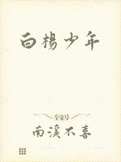 白杨少年