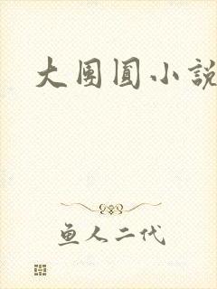 大团圆小说