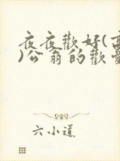 夜夜欢好(高h)公翁的欢爱h封面