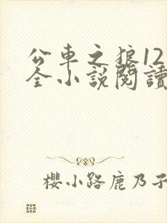 公车之狼12集全小说阅读
