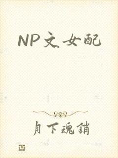 NP文女配