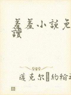 羞羞小说免费阅读封面
