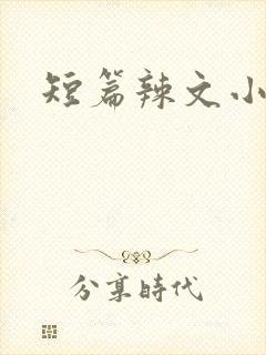 短篇辣文小说