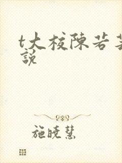 t大校陈若芸小说封面