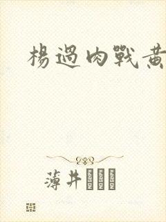 杨过肉战黄蓉