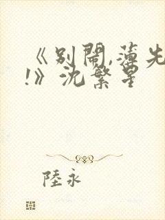 《别闹,薄先生!》沈繁星封面