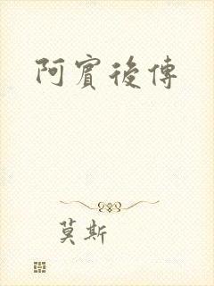 阿宾后传封面