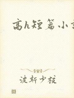 高h短篇小说