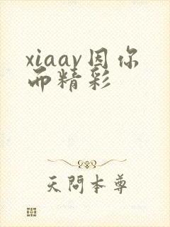 xiaav因你而精彩封面