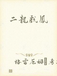 二龙戏凤