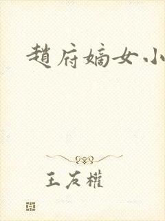 赵府嫡女小说