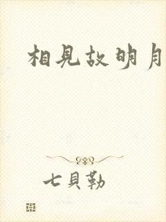 相见故明月