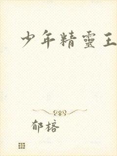 少年精灵王