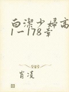白洁少妇高义第1一178章封面