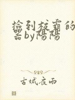 捡到校霸的遥控器by阳阳