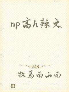 np高h辣文