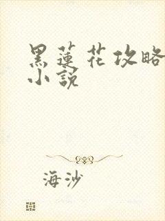 黑莲花攻略手册小说封面