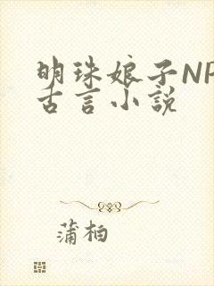 明珠娘子NPC古言小说