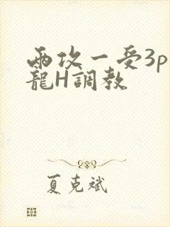 两攻一受3p双龙H调教