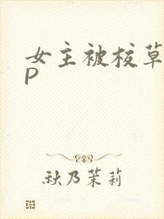 女主被校草们NP
