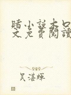 赌小说木口银全文免费阅读笔趣阁封面