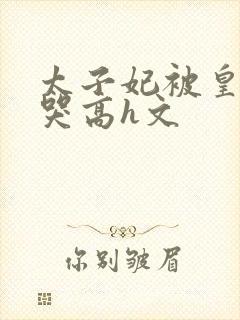 太子妃被皇上c哭高h文