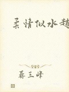 柔情似水赵雅儿