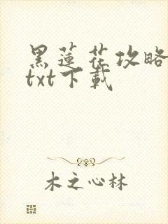 黑莲花攻略手册txt下载