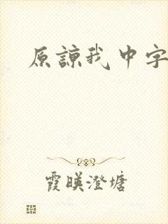 原谅我中字封面