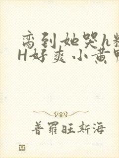 脔到她哭h粗话H好爽小黄鸭视频