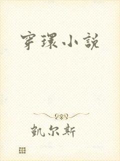穿环小说
