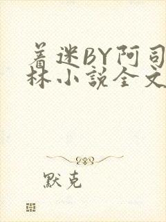 着迷BY阿司匹林小说全文免费阅读