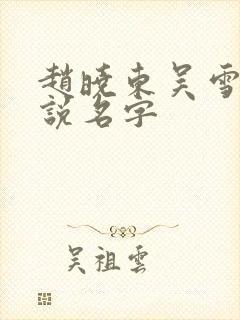 赵晓东吴雪晴小说名字
