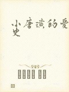 小唐璜的爱情历史