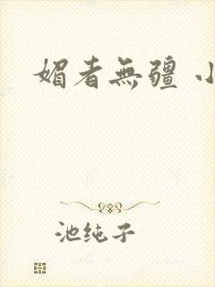 媚者无疆 小说