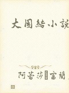 大团结小说阅读