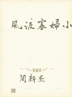 风流寡妇小说封面