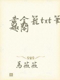 黄金笼txt笔趣阁封面