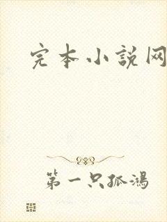 完本小说网
