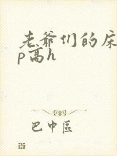 老爷们的床奴np高h