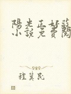阳光正好苏玥玥小说免费阅读封面